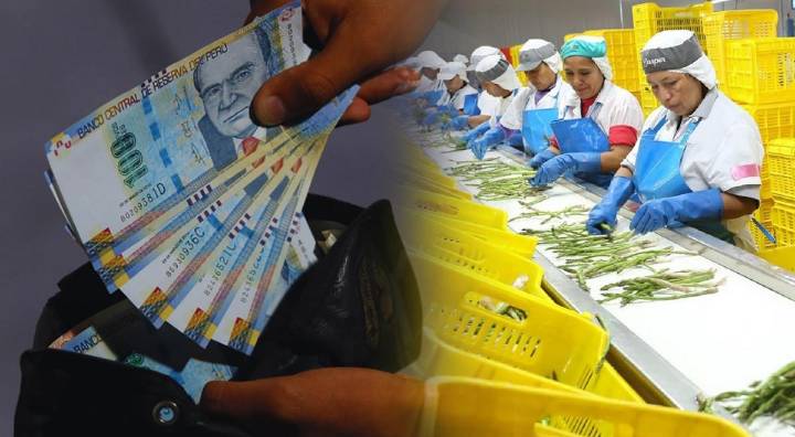 Gratificación con 9% extra en Perú: el bono que miles de trabajadores cobrarán en diciembre