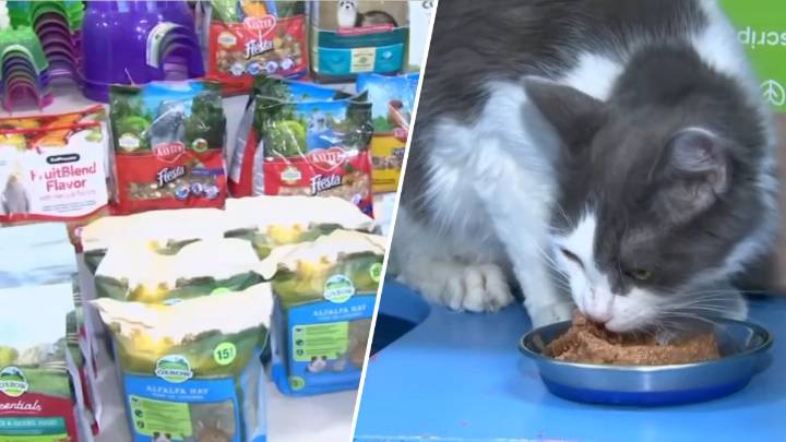 MSPCA says more families in need of pet food during shutdown