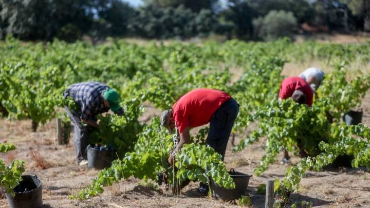 El paro sube en octubre en 1.427 personas en Castilla