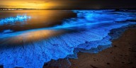 Glowing ‘bioluminescent’ waves light up Mexican beaches south of Arizona