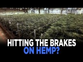 Federal THC Ban Sends Hemp Companies Scrambling