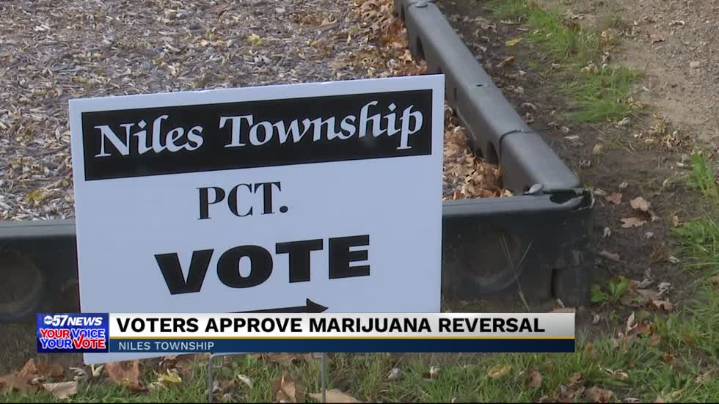 Business owners on M-51 talk losses after dispensary ban