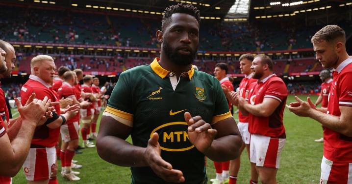 Siya Kolisi hits out amid Wales v South Africa row as Dragons denied major upset