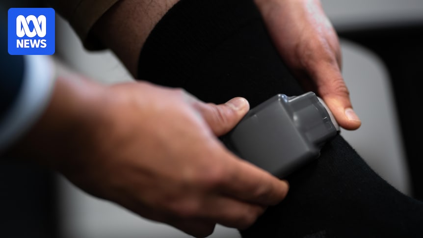 Woman 'devastated' after alleged violent offender released into community without tracker