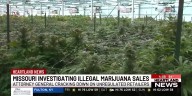 Missouri AG office cracking down on illegal marijuana sales