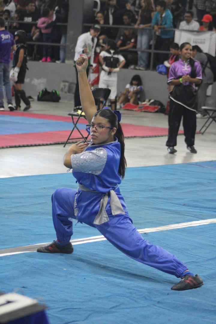 Iniciaron las Artes Marciales Populares Populares