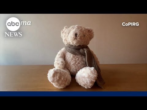 Sale of this AI toy suspended over dangerous messages to kids