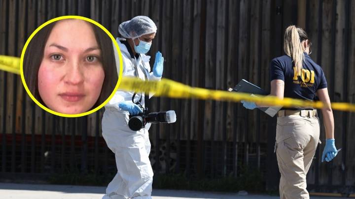 Celular fue clave en la caída de "El Cebolla": Así se produjo la captura del sospechoso del crimen de Valentina Alarcón