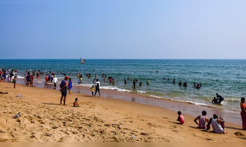 ITDC Q2 Results: Net profit slides 31%, revenue down 18.6%; future focus on digital solutions