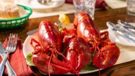 North End Lobster Co. opens in Boston
