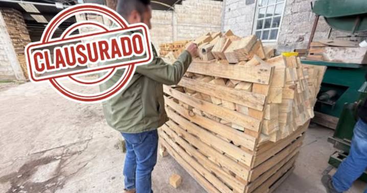 Profepa clausura aserradero ilegal en Agua Blanca, Hidalgo; detecta irregularidades en otro establecimiento durante operativo forestal