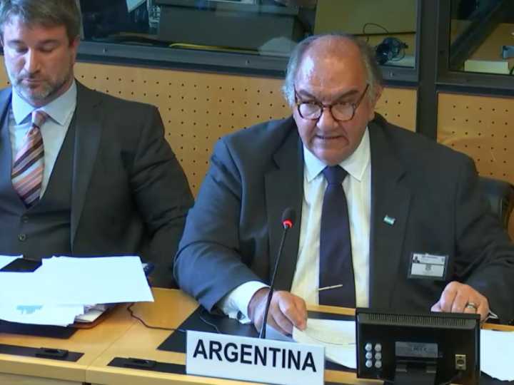 El subsecretario de DDHH de Milei fue a la ONU a negar el número de desaparecidos