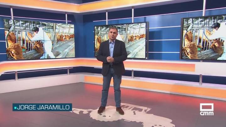 El campo - 03/11/2025