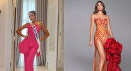 Vanessa Pulgarín prende Miss Universo y la reacción del dueño se volvió viral