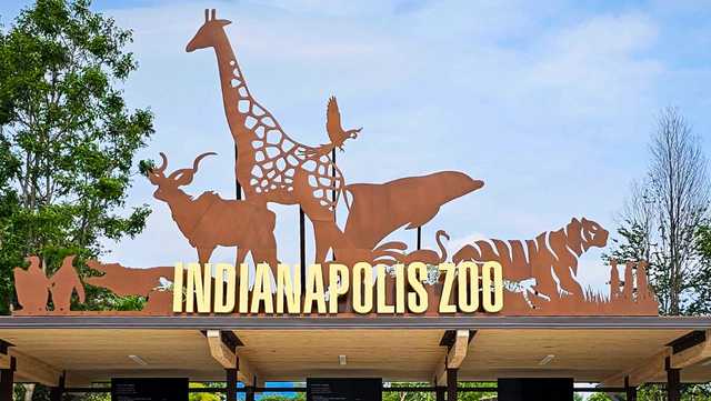 Chimpanzee escapes exhibit at Indianapolis Zoo, forcing brief lockdown