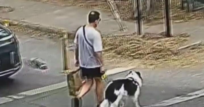 Triple homicidio en La Reina: las huellas que el abogado del principal imputado dice que la Fiscalía no ha considerado