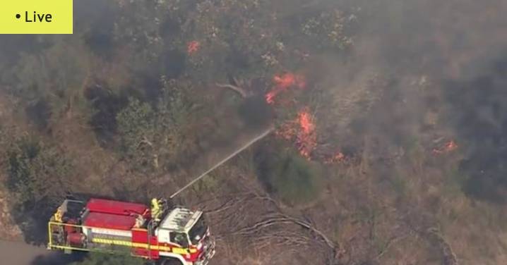 WA news LIVE: Police suspect arson in Wireless Hill Park fire