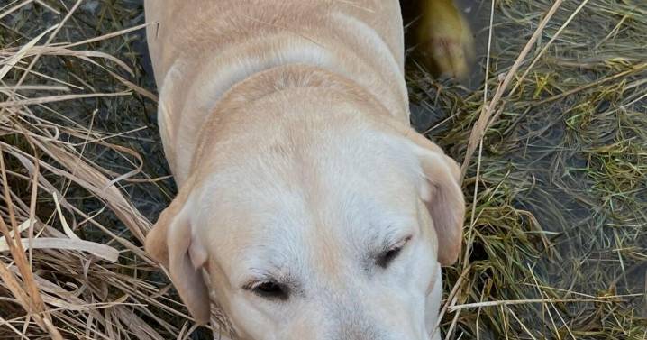 Our Outdoors: Swamp Things