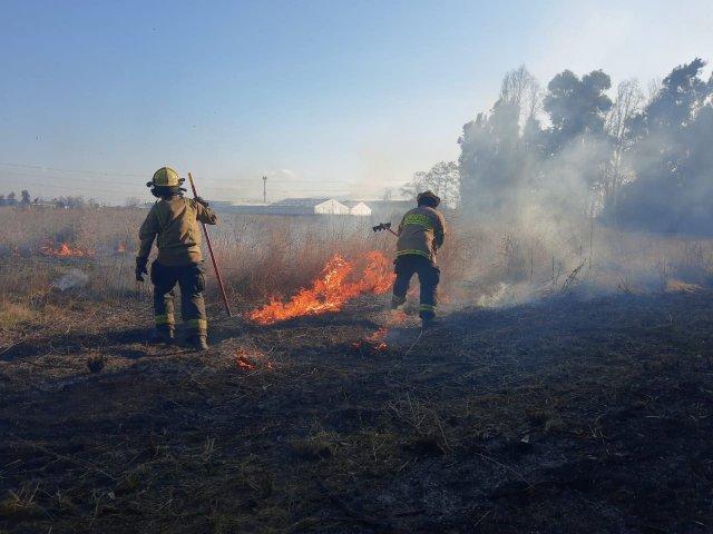 Declaran Alerta Temprana Preventiva Regional por amenaza de incendios forestales