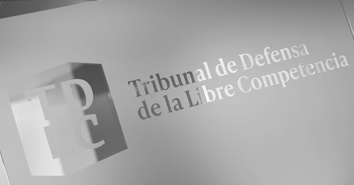 Mineduc busca revertir admisibilidad a reclamo de universidades privadas en el TDLC por aportes estatales