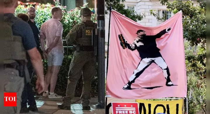 ‘Sandwich guy’ acquitted: Who is Sean Dunn and how did he become the face of DC resistance?