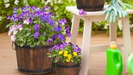 Con esta alternativa creativa puedes hacer macetas para las plantas de tu jardín