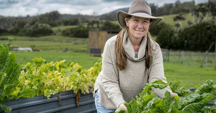 Tasmanian growers face costly proposed food safety rules