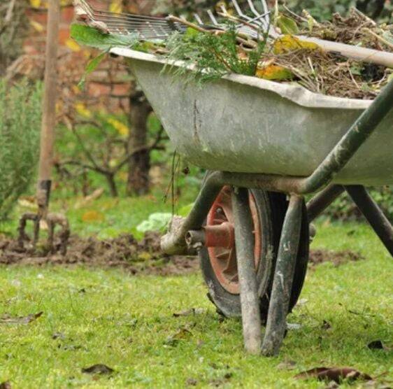 It’s fall, beautiful fall — and time to winter prep for your yard for best outcomes next spring