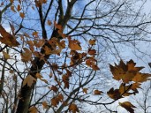 NJ weather: Big blustery cooldown and a few snowflakes this week