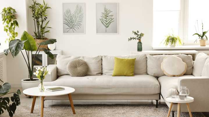 The Best Spot In The House For Your Indoor Plant, According To Feng Shui's Bagua Map