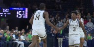 Notre Dame beats LIU 89-67 in season opener