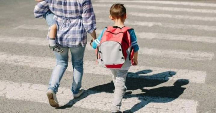 La canasta de crianza superó los $500 mil en octubre