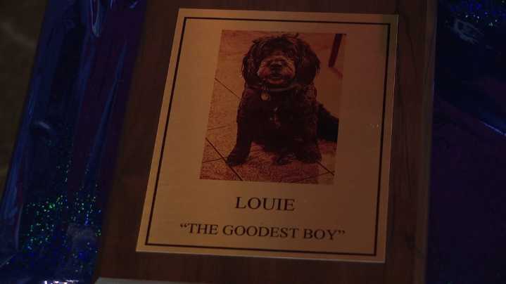 LouiePalooza celebrates beloved pup's legacy in Scranton