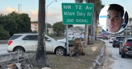 Cubano muere en accidente en Miami tras sufrir un infarto mientras manejaba