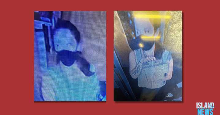 Hilo police seek woman linked to East Puainako Street theft