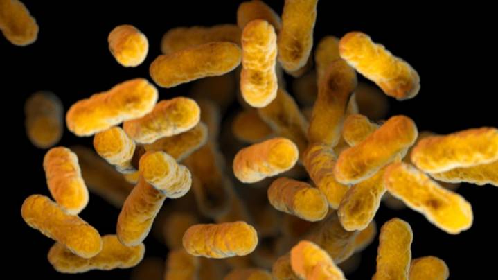 The number of whooping cough cases in Texas is the highest it’s been in 11 years