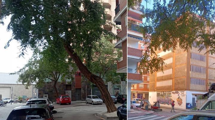 Talan el árbol de 16 metros que amenazaba con caer sobre un parque infantil
