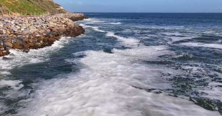 Hope for the summer as scientists discover culprit behind South Australia's algal bloom