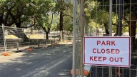 Victoria Park Mayor Karen Vernon ‘deeply disappointed’ with town ‘failures’ after 46 trees removed