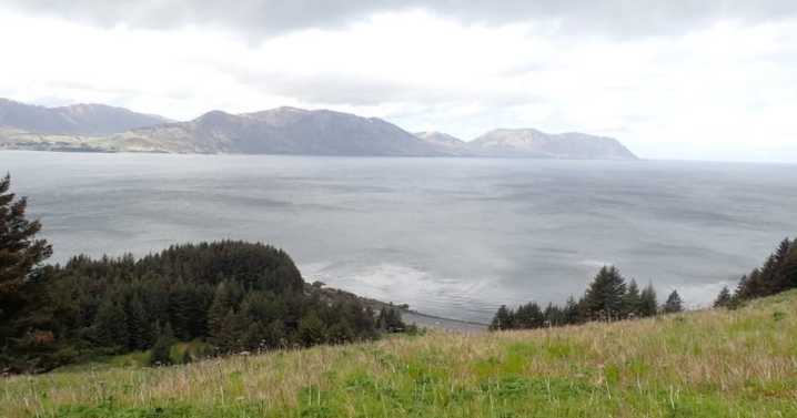 Alaska land auction concludes with 92 winners claiming 707 acres statewide