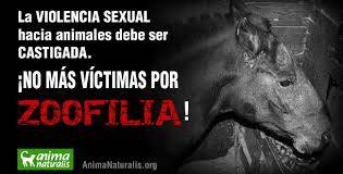 Propone PVEM sancionar la zoofilia hasta con 4 años de cárcel