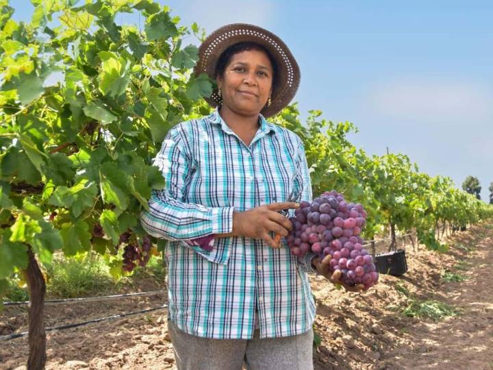 Aguascalientes, tierra de mujeres trabajadoras