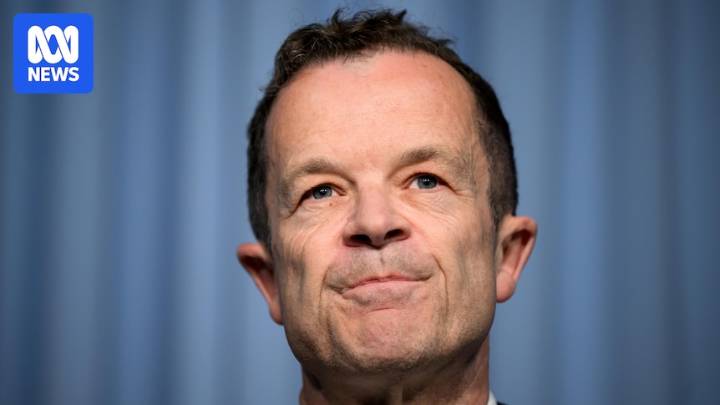 NSW Opposition Leader Mark Speakman stays firm amid growing leadership challenge speculation