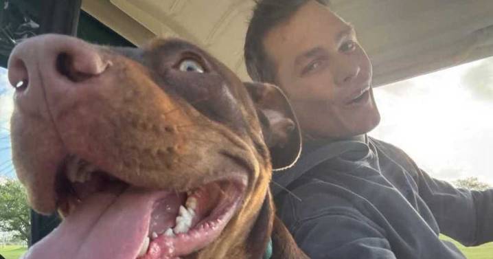 Tom Brady Reveals His Dog Junie Is A Clone Of His Old Dog Lua