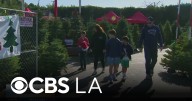 Boy Scout troop rings in Christmas season at Santa Monica tree lot