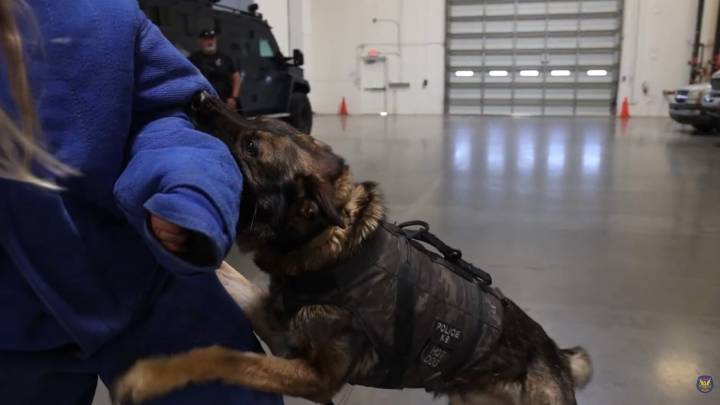 Phoenix Councilmember Anna Hernandez calls police K