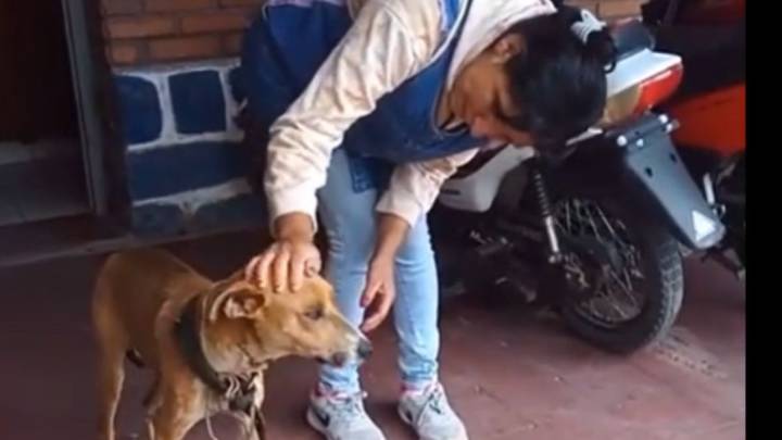 Rescatan un perro maltratado en una finca y avanza la justicia