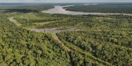 COP30 en la Amazonía: qué se definió en las primeras jornadas y cómo seguirá la cumbre climática