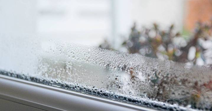 Condensation will 'stop' forming overnight with 50p ingredient you have at home