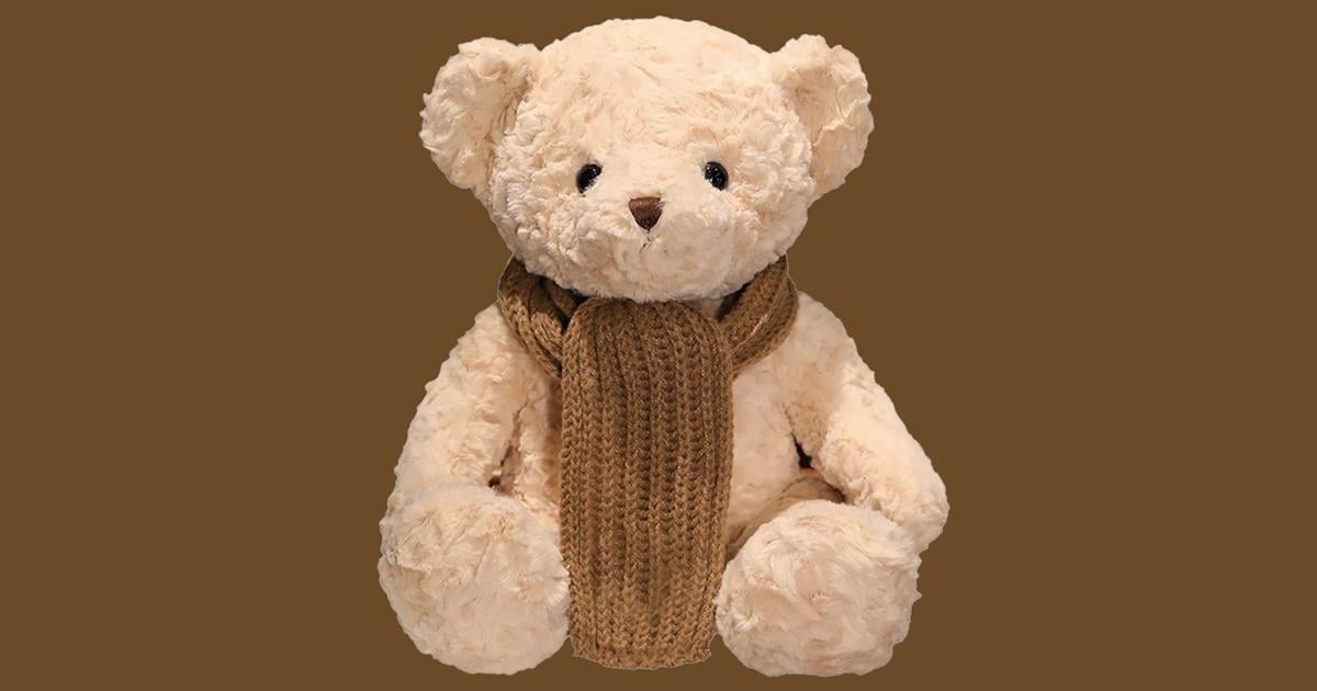 AI teddy bear pulled after giving sex advice